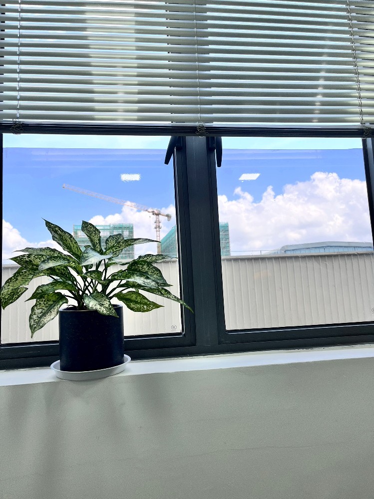 北京通州潞苑窗户贴膜多少钱？老师傅揭秘避坑指南